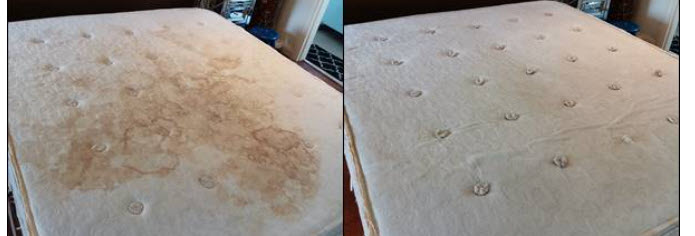Limpieza de Colchones $600-$700