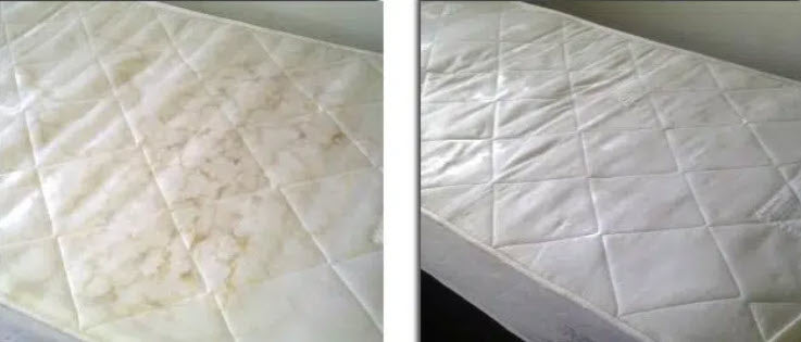 Limpieza de Colchones $600-$700